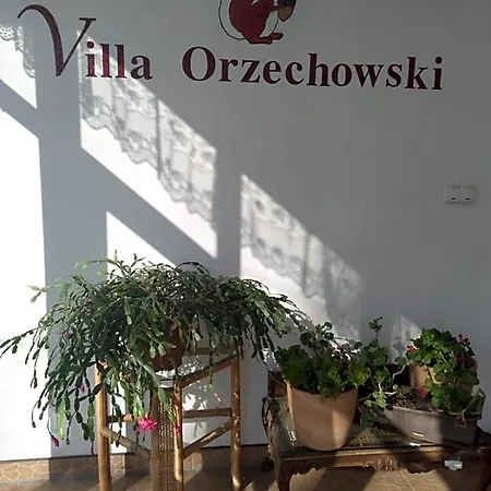 Orzechowski 3* Висла