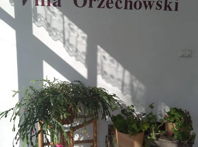 Orzechowski Nocleg ze śniadaniem